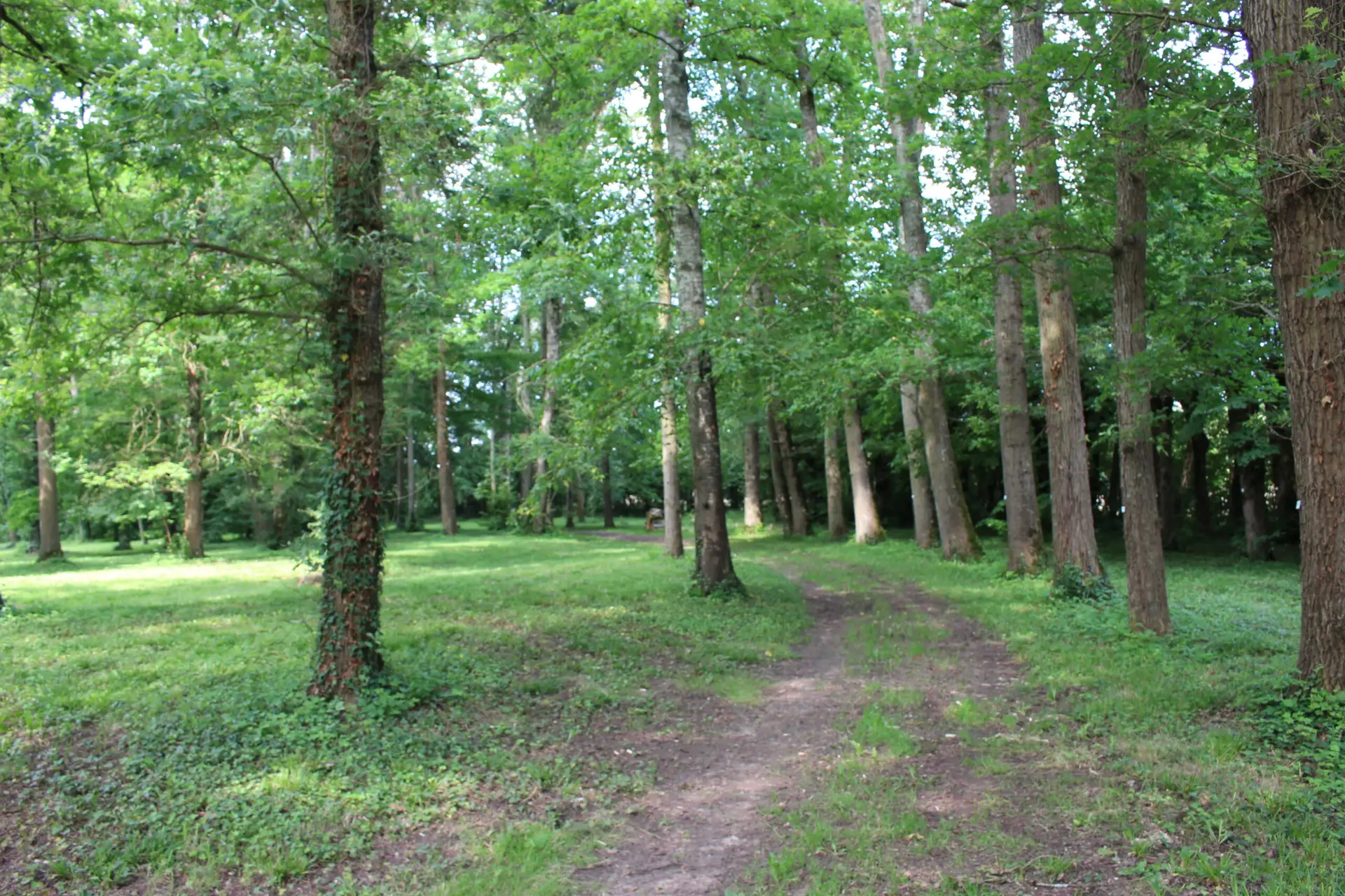 Parc arboré Domaine Le fournay by cotevent proche de bourges